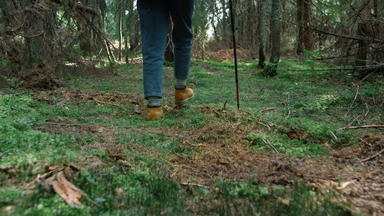 女人徒步旅行夏天森林女徒步旅行者走绿色莫斯森林